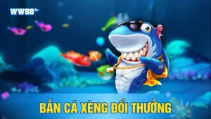 Giới thiệu về bắn cá xèng đổi thưởng