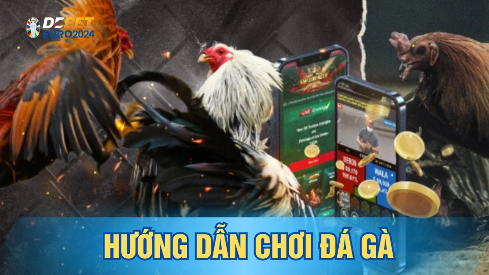 Hướng dẫn chơi chọi gà Campuchia Ww88 cực hay và đơn giản